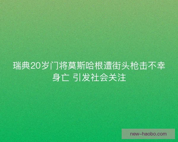 瑞典20岁门将莫斯哈根遭街头枪击不幸身亡 引发社会关注